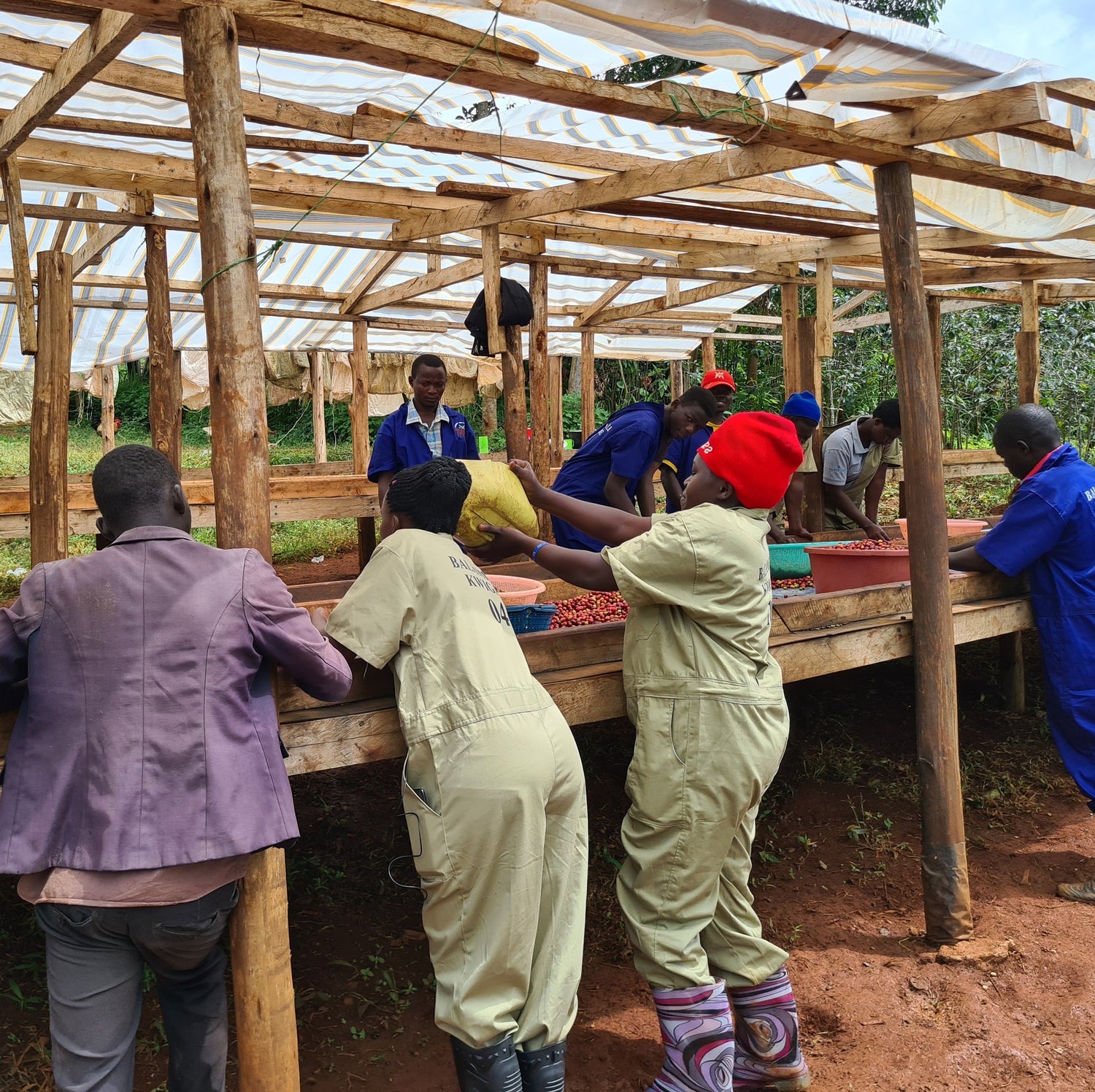 Ep. 774 Uganda Bulambuli Musana Natural
