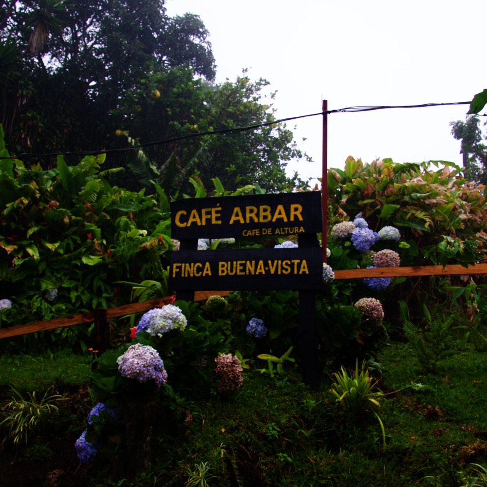 Ep. 809 Costa Rica Arbar La Isla Honey