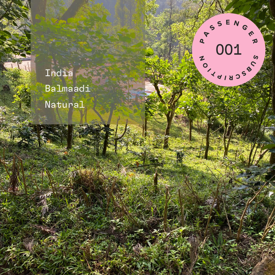 Photo of Balmaadi Natural