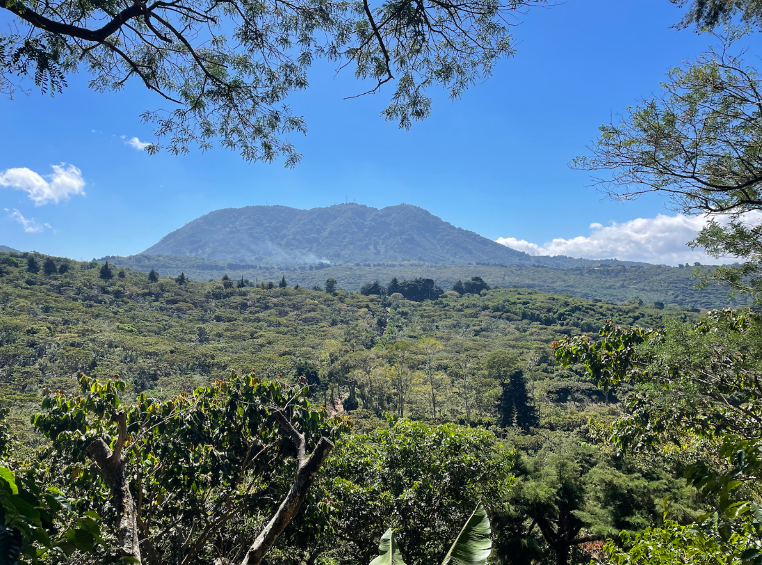 Ep. 838 El Salvador La Fany Red Bourbon Washed