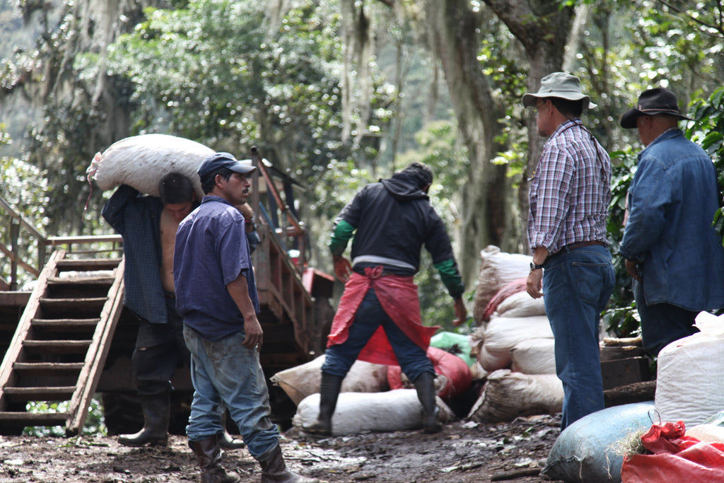 Workers transporting coffee at Finca La Escondida in Jinotega, Nicaragua