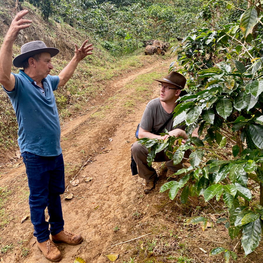 Costa Rica: ARBAR - La Isla