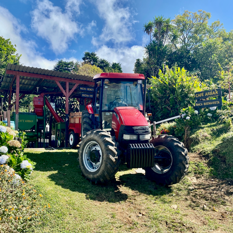 Costa Rica: ARBAR - La Isla