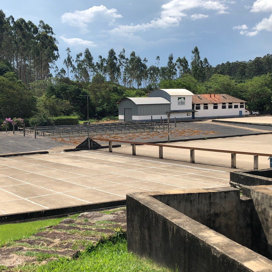 Brazil: Fazenda Cachoeira da Grama