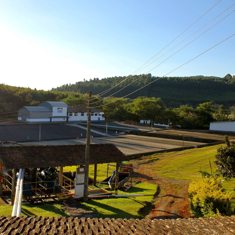 Brazil: Fazenda Cachoeira da Grama