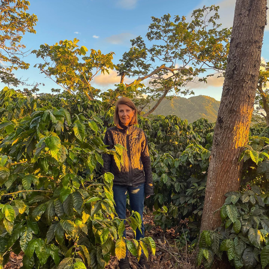 El Salvador: La Fany, Ethiopian Heirloom