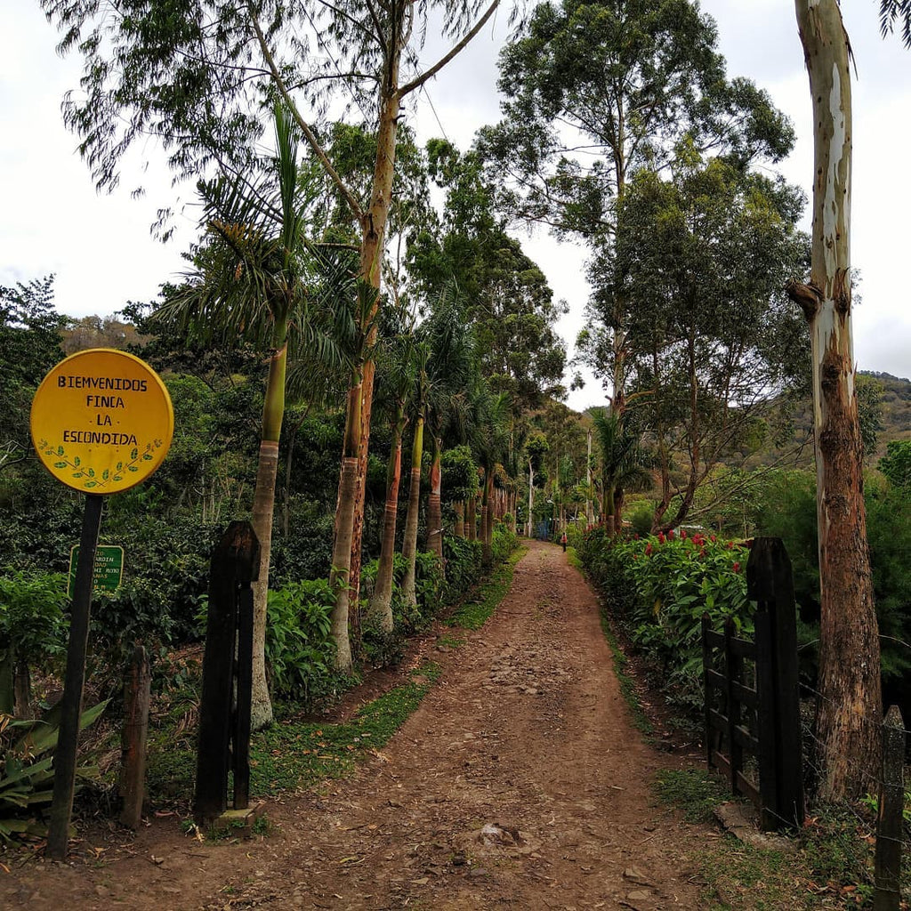 The entrance to Finca La Escondida