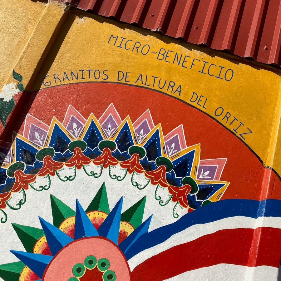 Artwork outside Micro-Beneficio Granitos de Altura del Ortiz in San Jose, Costa Rica