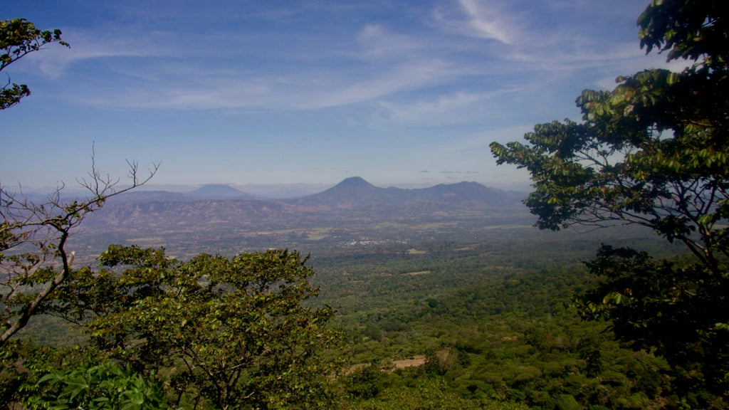 A view of the Apaneca-Ilamtepec mountain range from Finca Argentina in El Salvador