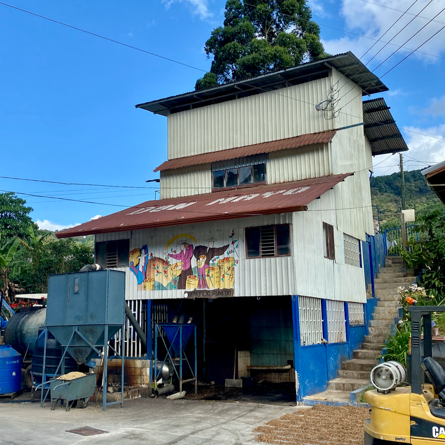 The Don Mayo micromill in Tarrazu, Costa Rica.