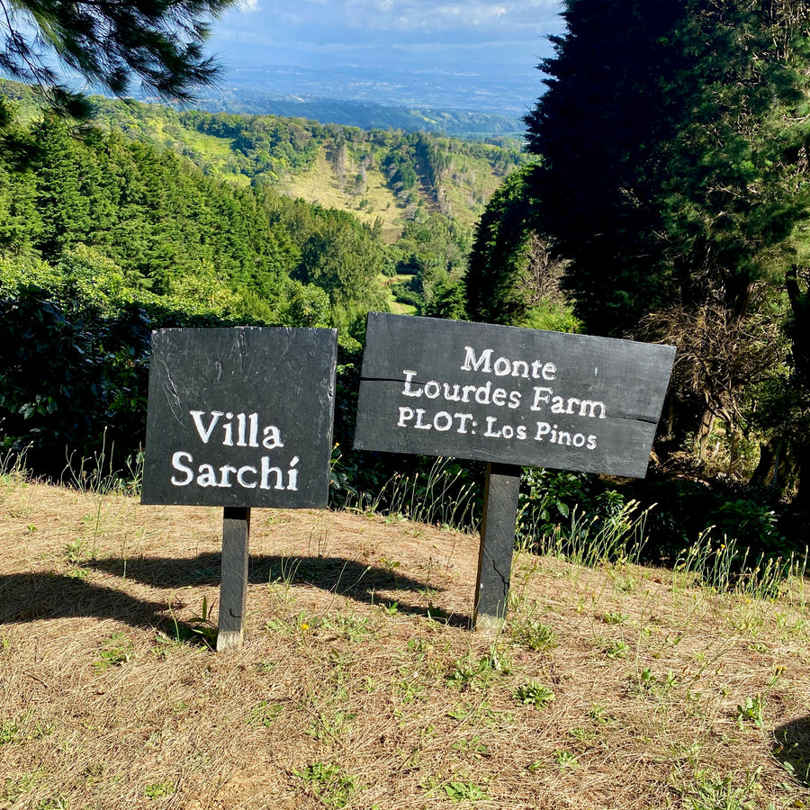 Costa Rica: Sumava de Lourdes - Los Pinos