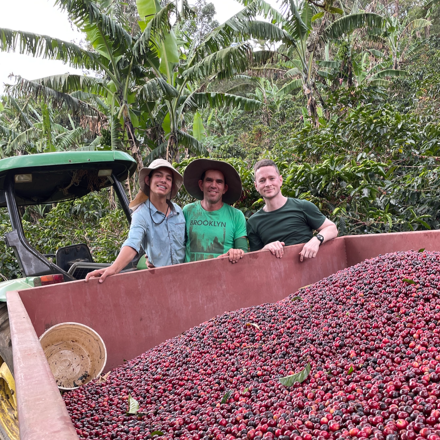 Allan Oviedo, his son Nacho, and Ozone Head of eCommerce Chris Glover-Price with freshly harvested coffee cherries from Finca Carmela in Costa Rica