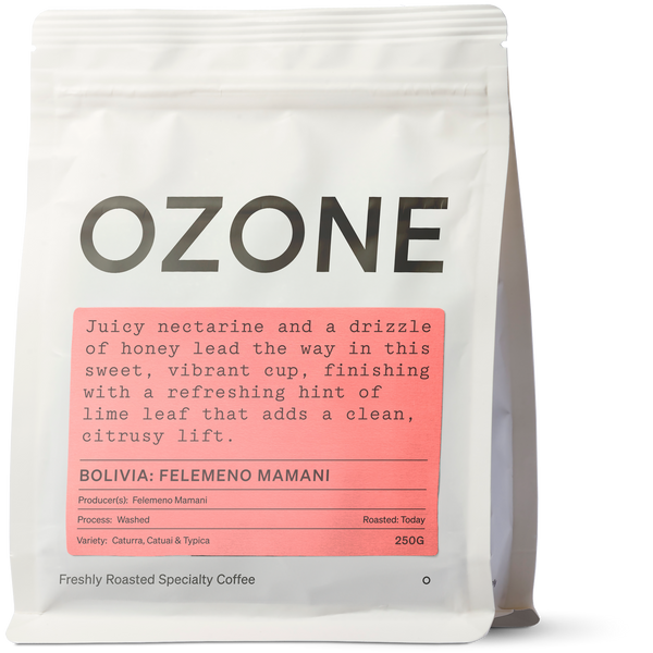 Bolivia: Felemeno Mamani, Washed coffee bag