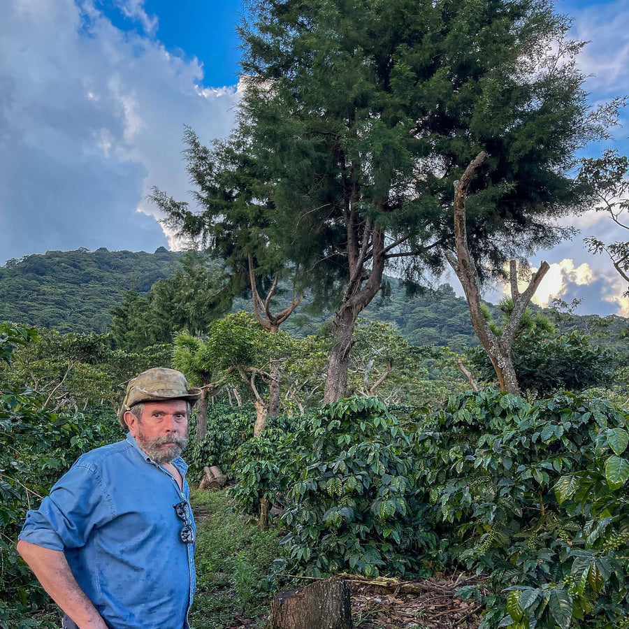 El Salvador: La Fany, Ethiopian Heirloom