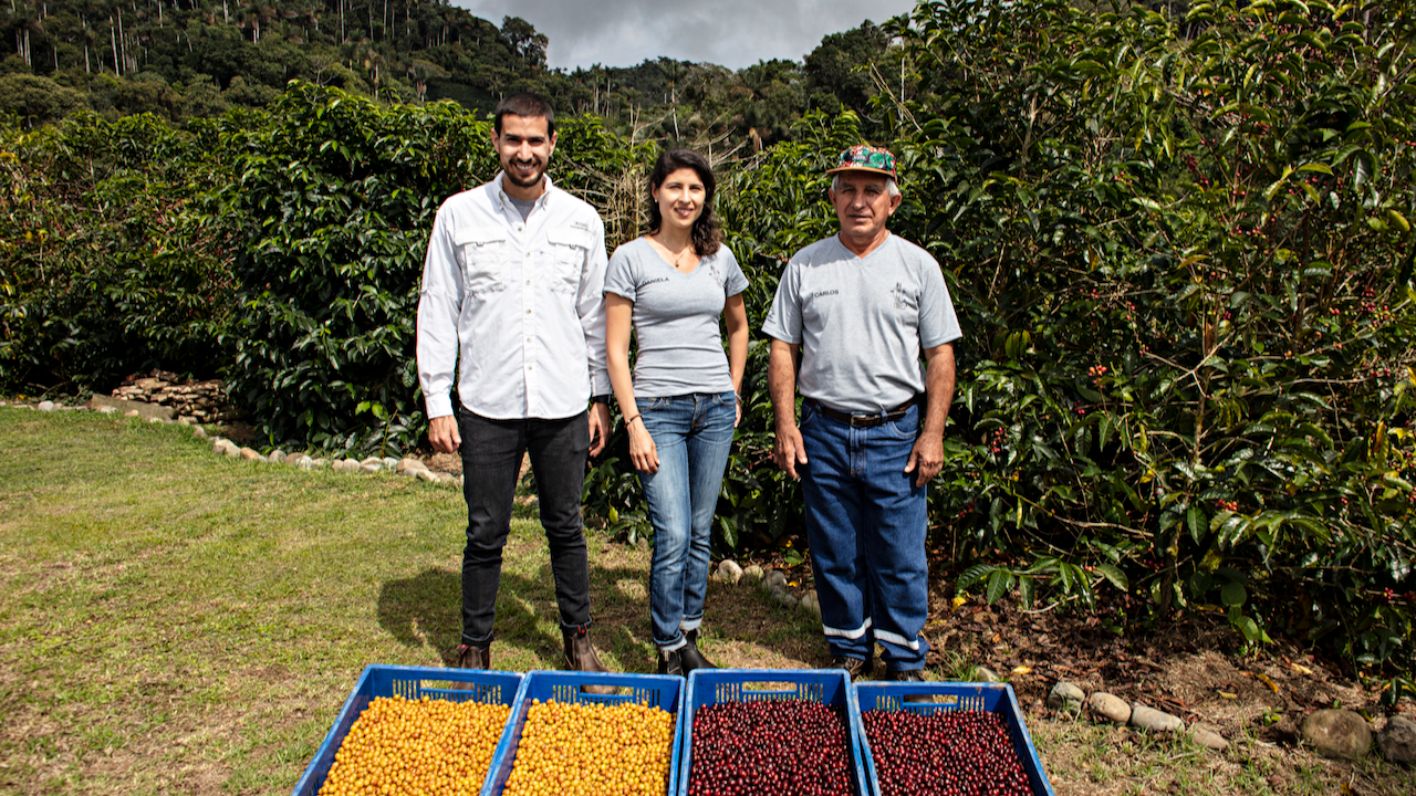 919 - Bolivia: Don Carlos, Mosto Washed