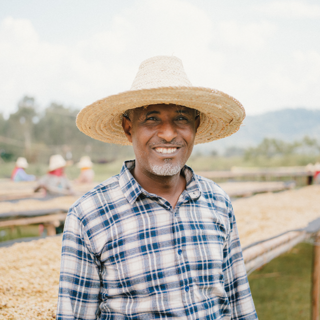 886 Yule Single Origin (Ethiopia: Genji Challa)