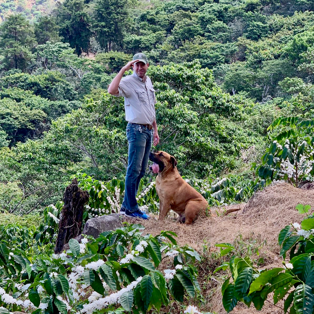 Ep. 803 El Salvador Argentina Los Mangos Natural Bourbon