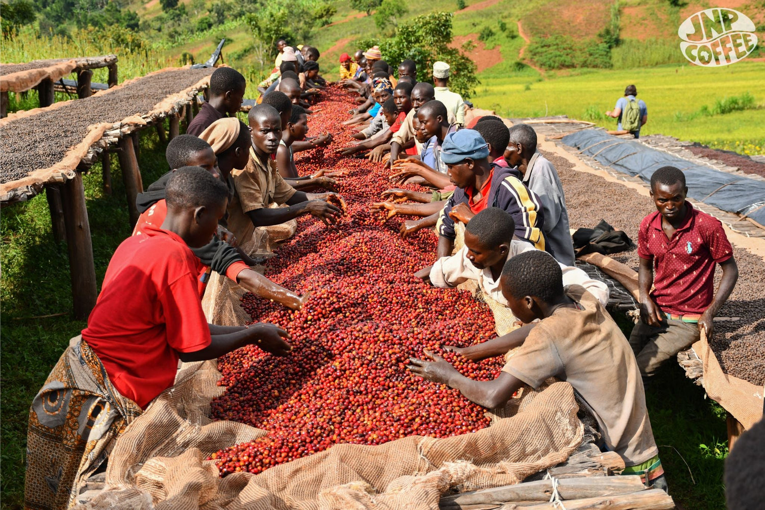 866 Burundi Hafi Natural