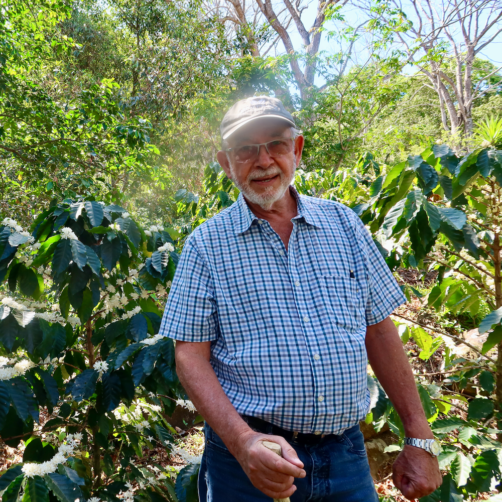 891 El Salvador: Argentina, Bourbon, Honey