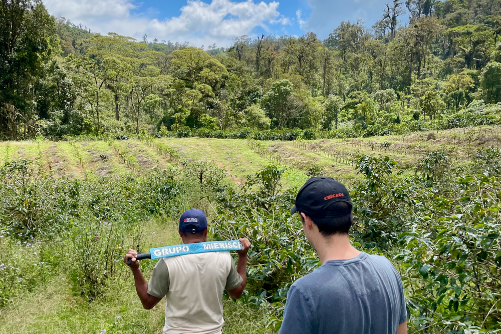 Erwin Wingo Mierisch walking across coffee growing farmland in Nicaragua with a farm worker