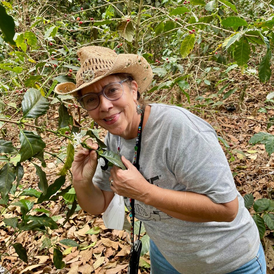 Ep. 796 El Salvador San José Washed Red Bourbon