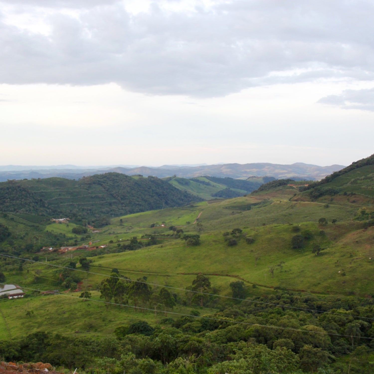 922 - Brazil: Inglaterra, Canario, Natural