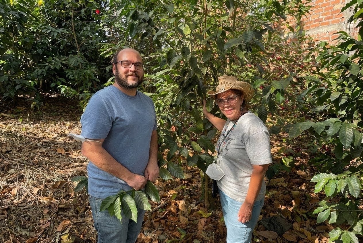 897 - El Salvador: San Jose, Red Bourbon