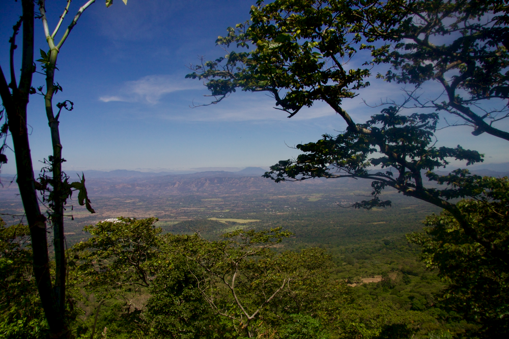 895 - El Salvador: Finca Argentina, Centroamericano H1, Washed