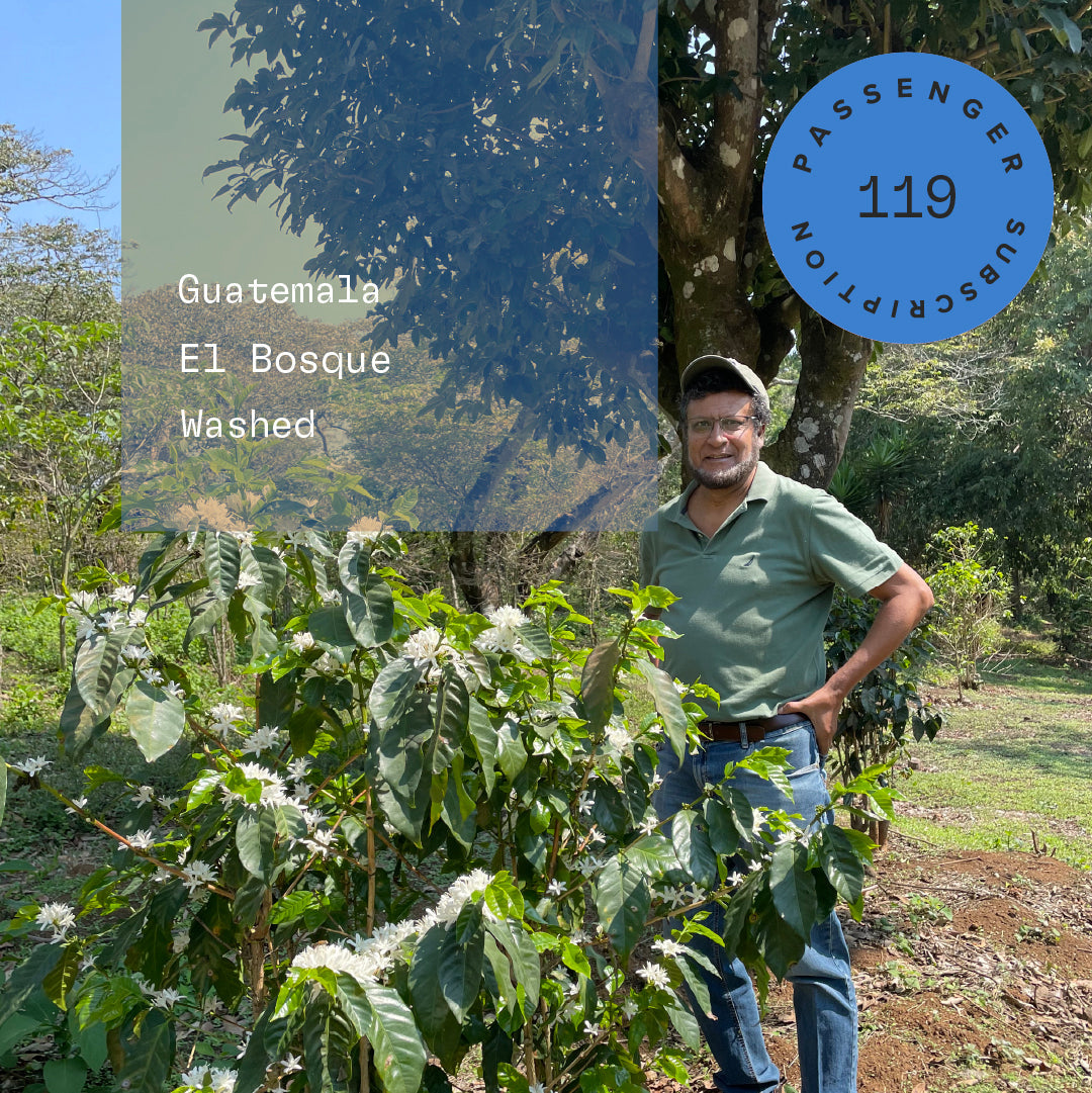 El Bosque – Ozone Coffee UK
