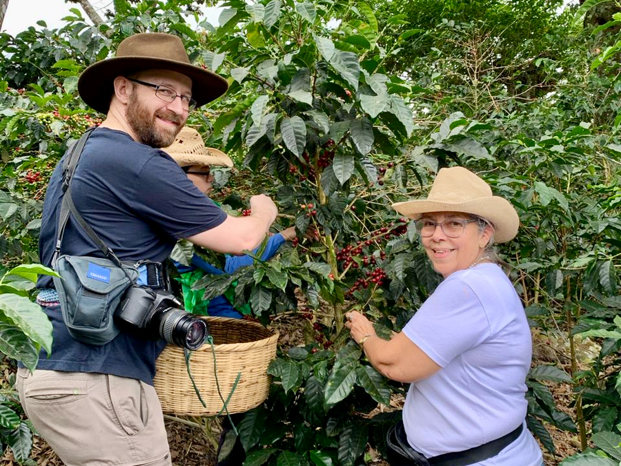Ozone Green Buyer Roland Glew and Gloria Rodriguez picking coffee together at her farm, Mamatita