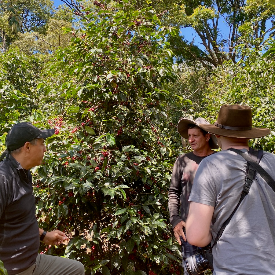 Francisco Mena of Exclusive Coffees and Ozone Green Buyer Roland Glew hear about how the annual coffee production is going on Finca Licho