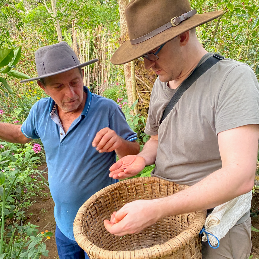 Costa Rica: ARBAR, Oasis