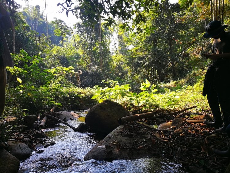 Thailand: Aoy & Nui Jaisooksern