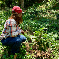Gloria Rodriguez with some young coffee growing on her farm, San José in El Salvador