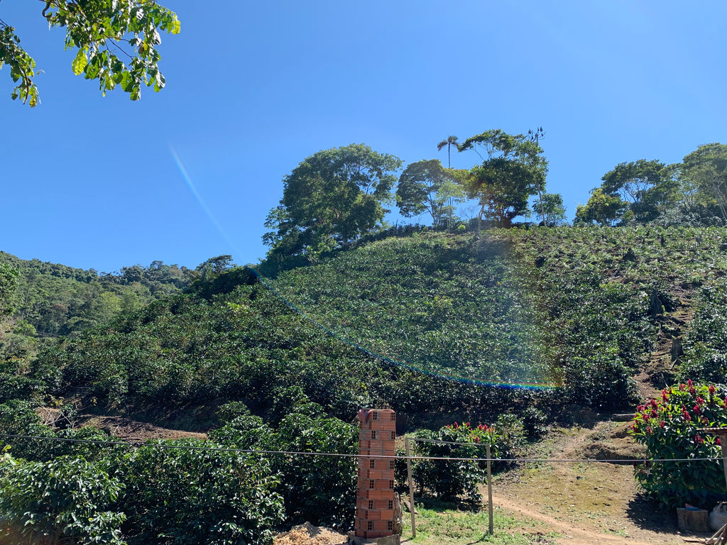 Vincent Paye. Copacabana, Caranavi, Yungas, Bolivia | Hasbean.co.uk