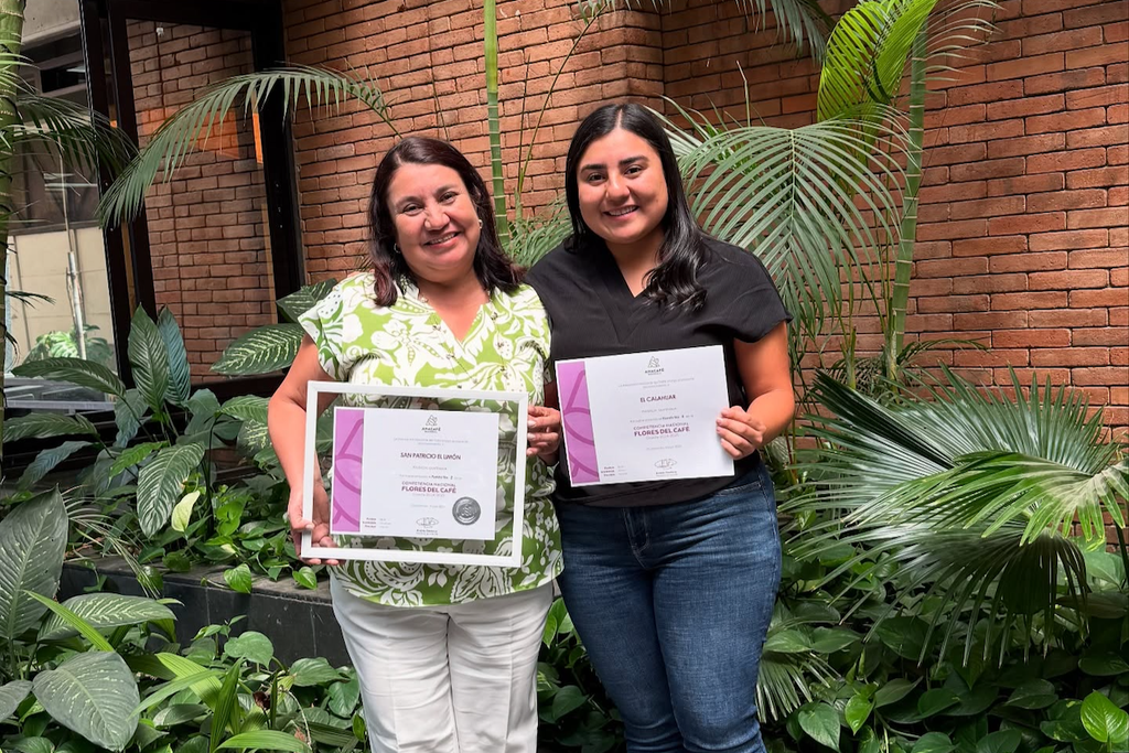 2025 Flores del Café competition, organised by Anacafé and IWCA Guatemala to celebrate the work of women coffee producers, a natural Pacamara from El Limón took 2nd place in the Natural category with a score of 88.25.