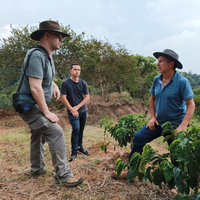 Costa Rica: Arbar Micromill, Kenya (SL28), Natural - Ozone Coffee Roasters