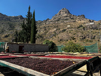 Yemen: Ali Kabeer 125g