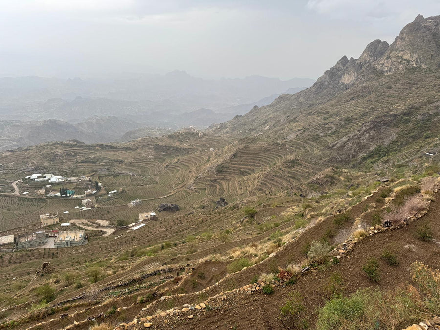 Yemen: Ali Kabeer 125g