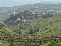 Yemen: Ali Kabeer 125g