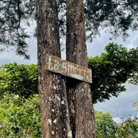 A wooden sign on a tree at Finca La Siberia in El Salvador