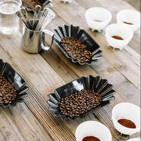 Barista Hustle Cupping Bowls, 220ml (Pack of 24) - bowls set up for a cupping waiting for hot water