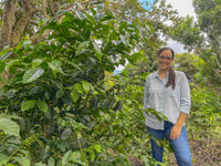 El Salvador: El Angel, Carbonic Macerated Natural, Pacamara [125g]