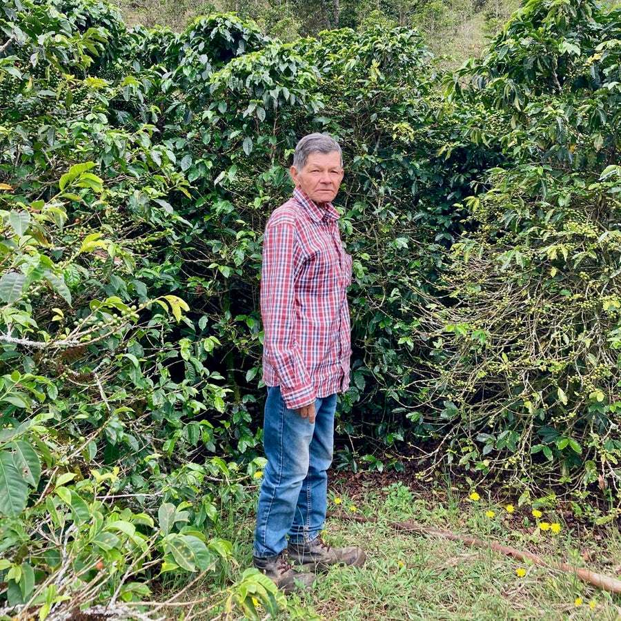 Don Gabriel Cortes at his farm, El Tractor, in Antioquia, Colombia with his Red Bourbon coffee