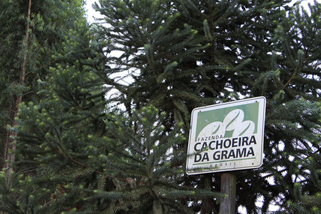 The sign at the entrance to Fazenda Cachoeira da Grama in São Sebastião da Grama, Brazil