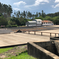 Brazil: Fazenda Cachoeira da Grama