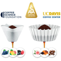 Sage The Precision Brewer Thermal Filter Coffee Brewer SCA Gold Certified