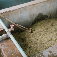 Festive Single Origin