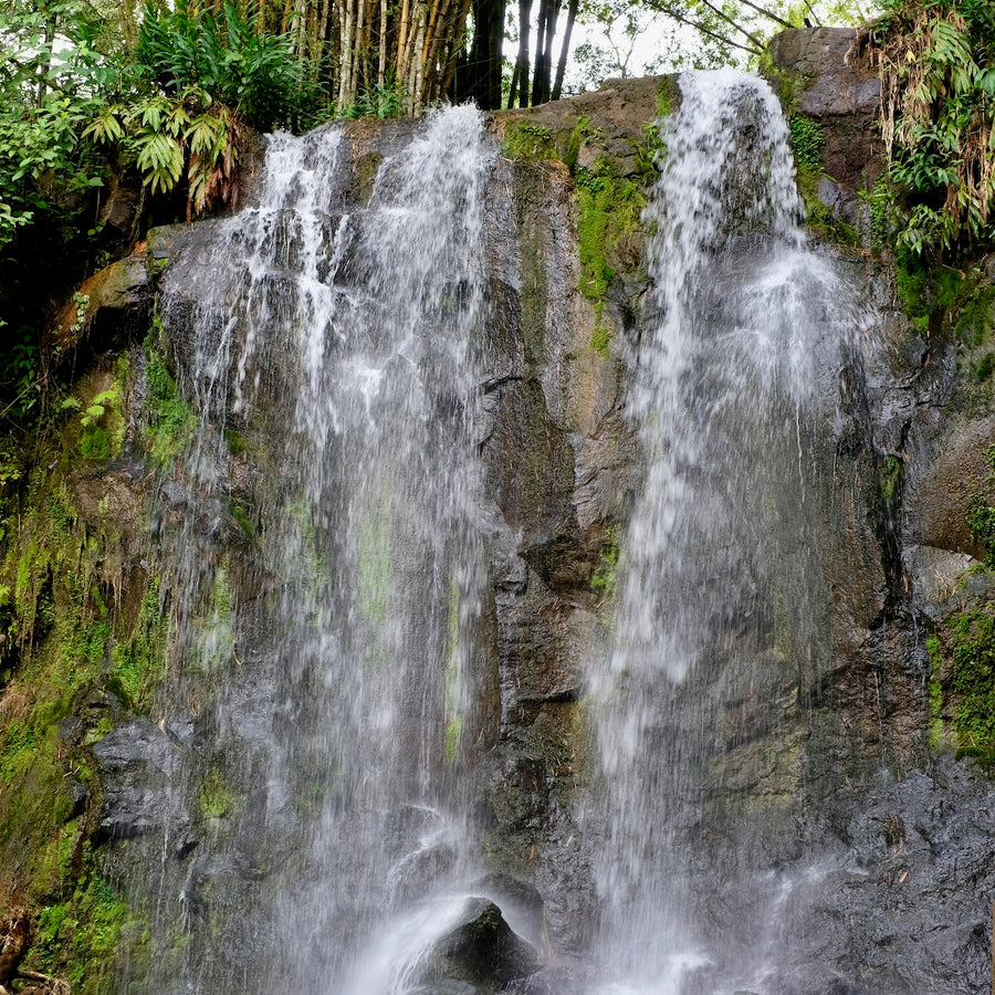 The famous waterfall at Finca Limoncillo in Matagalpa, Nicaragua