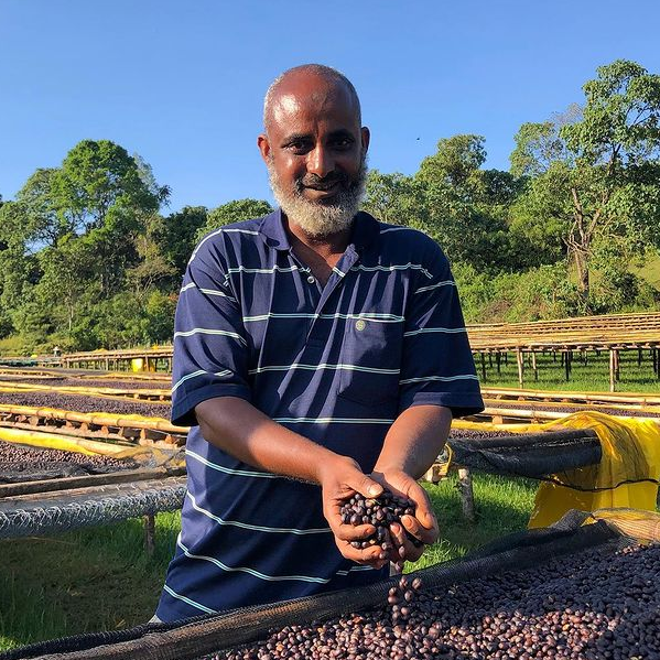 Mensur Aba Hika with his naturally processed coffee as it dries on raised beds in Jimma, Ethiopia